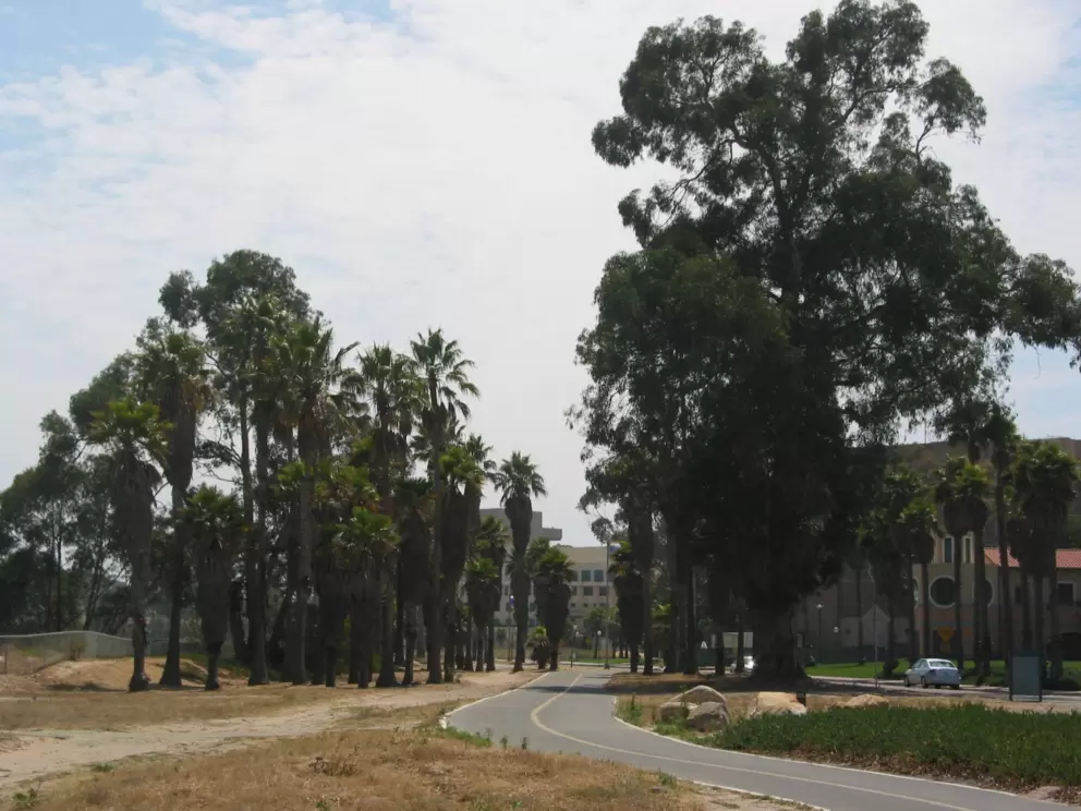 Along Lagoon Rd on the UCSB campus, the bike path continues- fabulous!