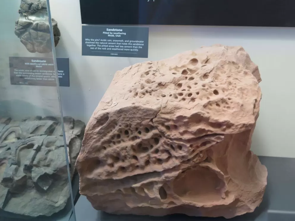 The pitted areas in the sandstone had less cement than the rest of the rock and were weathered by acidic rain, snowmelt, and groundwater.