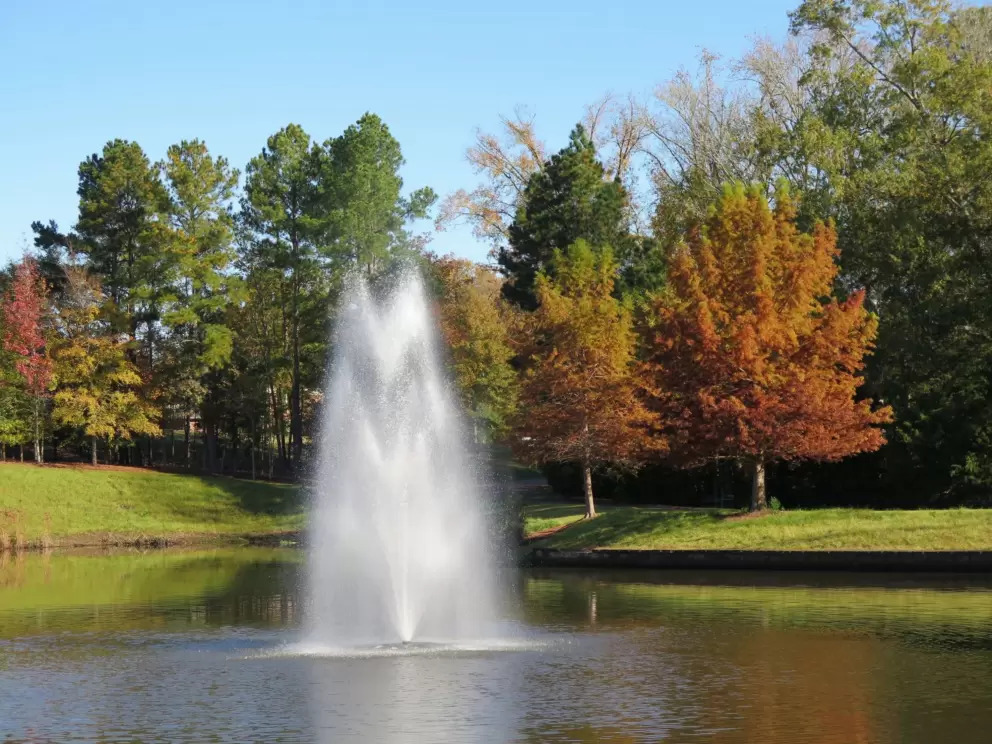 Fountain and fall trees.