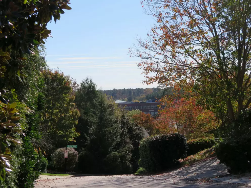 View from high up, on Oak Park Lane.