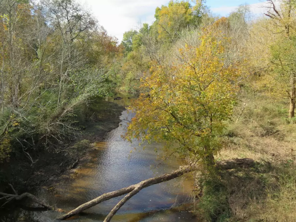Eno River in autumn.