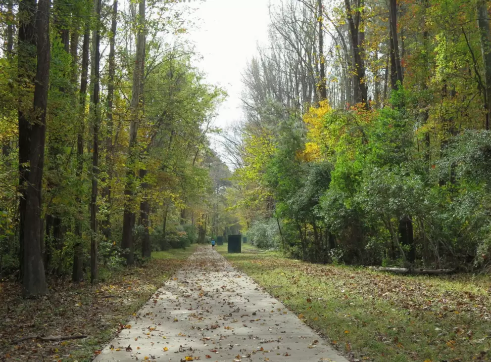 Autumn colors at Booker Creek.