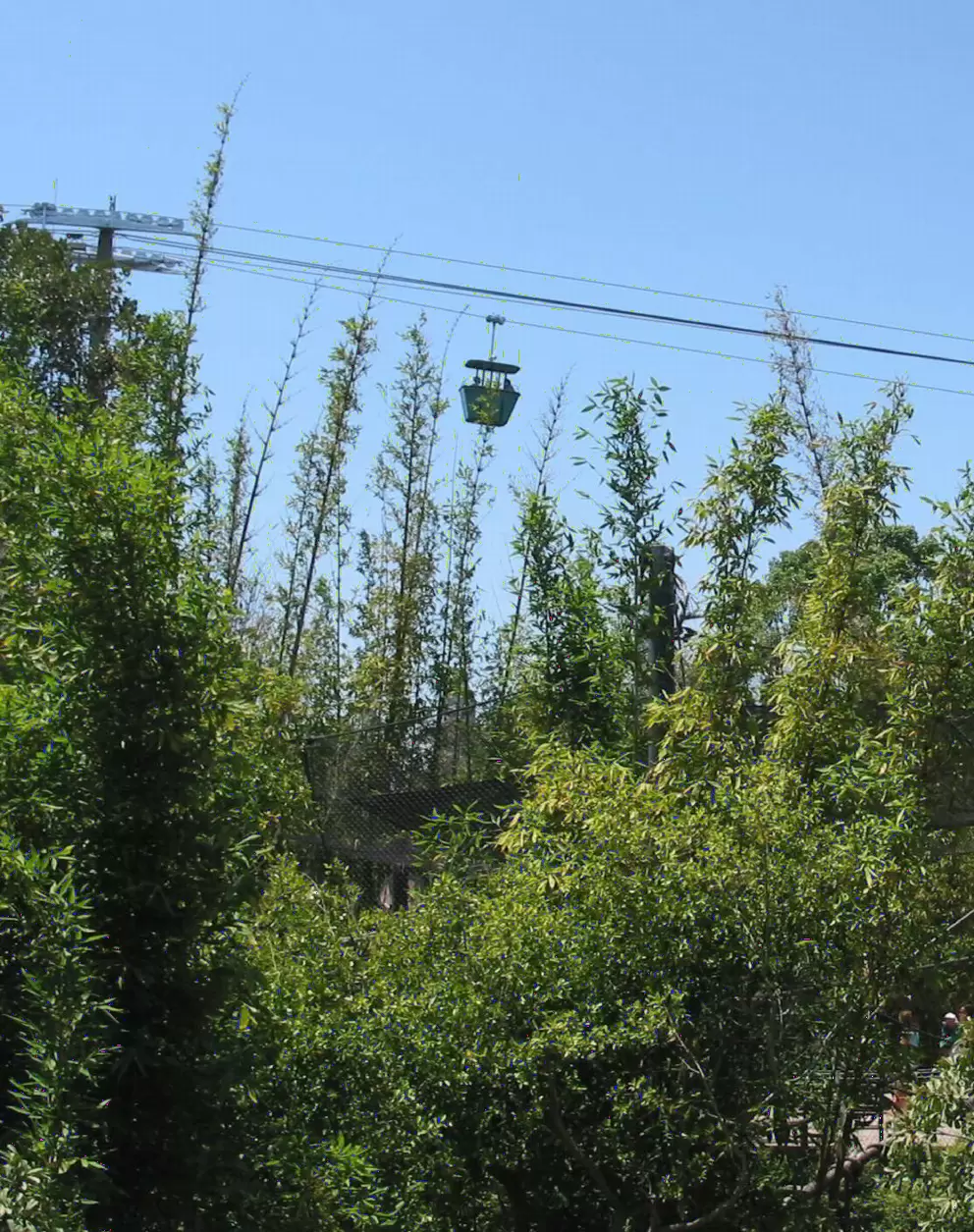 Skyfari aerial tram- a blast!