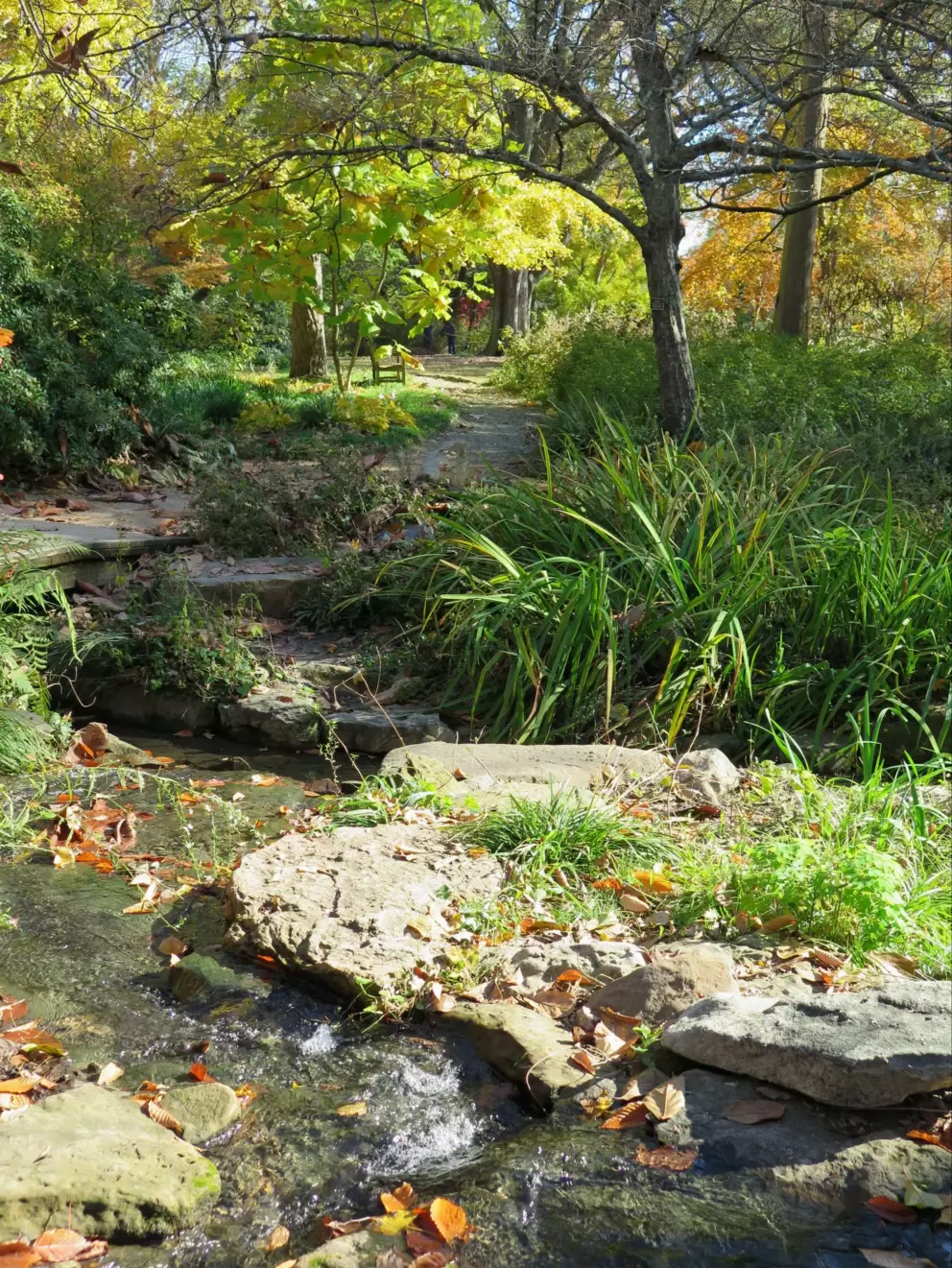 Landscaped stream- lovely to hear.