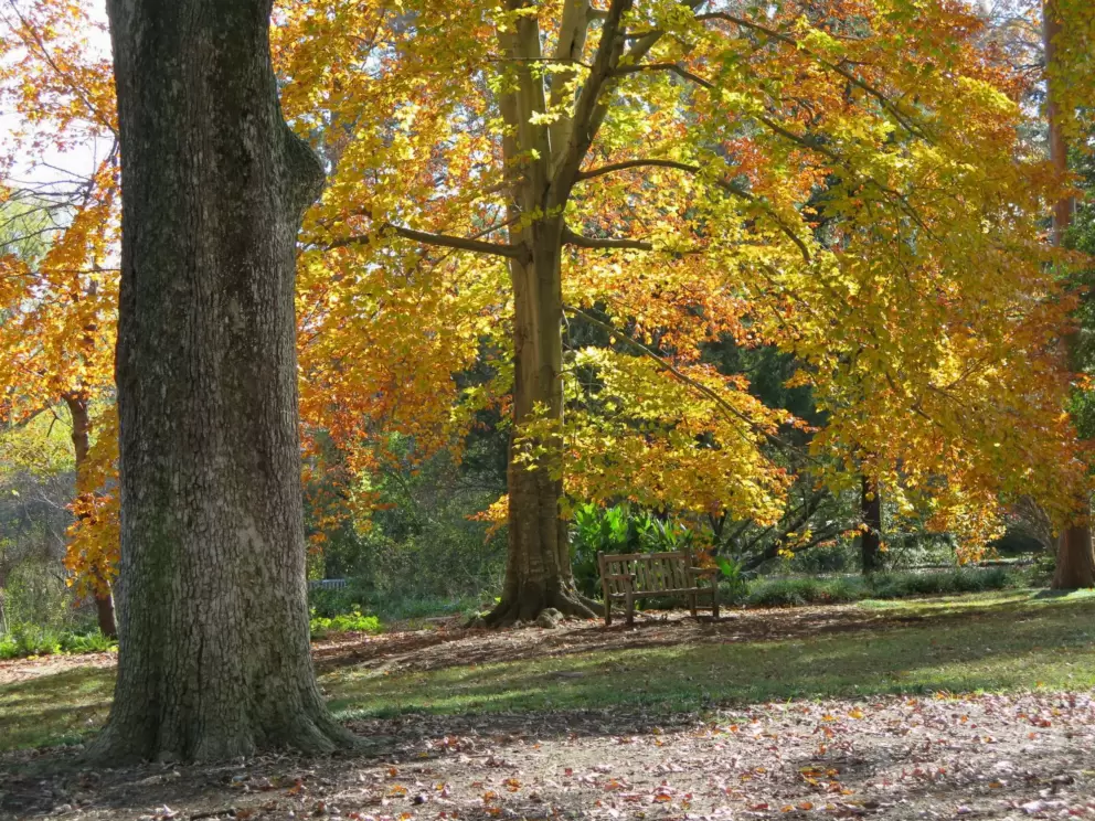 Amazing autumn colors!