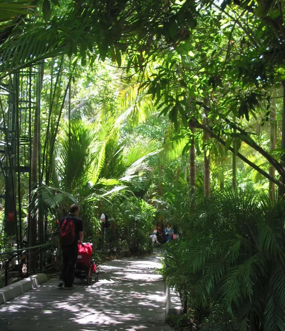 Tropical walkway.