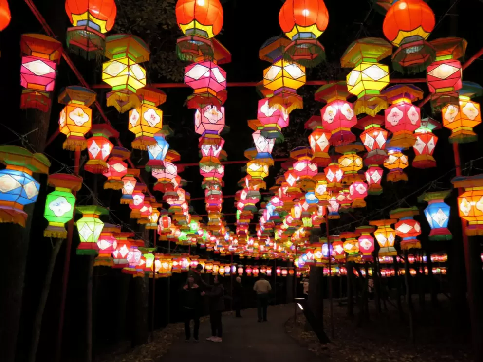 Lanterns that go on for a long time! At the Chinese Lantern Festival in November!