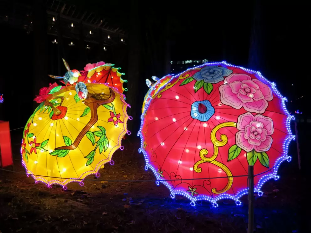 Beautiful umbrellas, at the Chinese Lantern Festival.