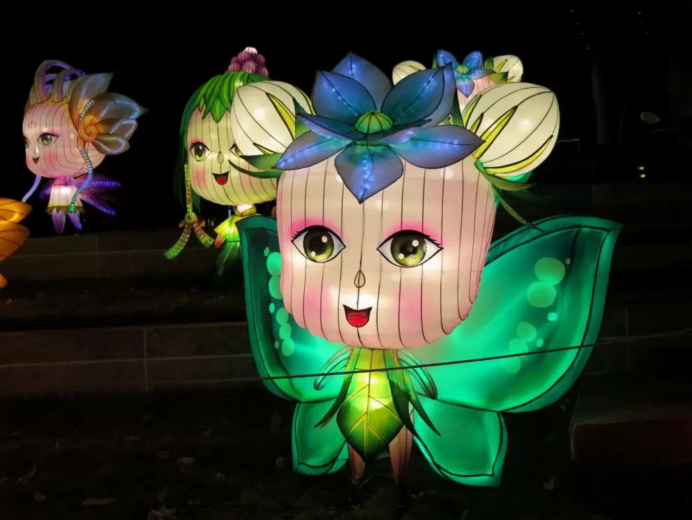 Fairy, at the Chinese Lantern Festival.