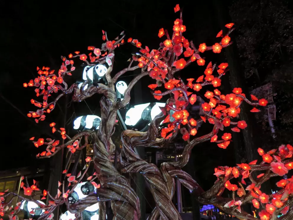 Pandas in a tree, at the Chinese Lantern Festival.
