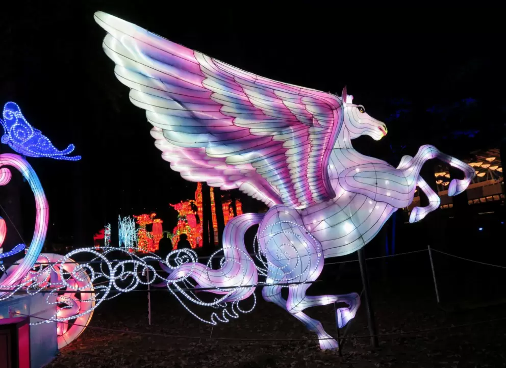 Pegasus pulling a carriage, at the Chinese Lantern Festival.