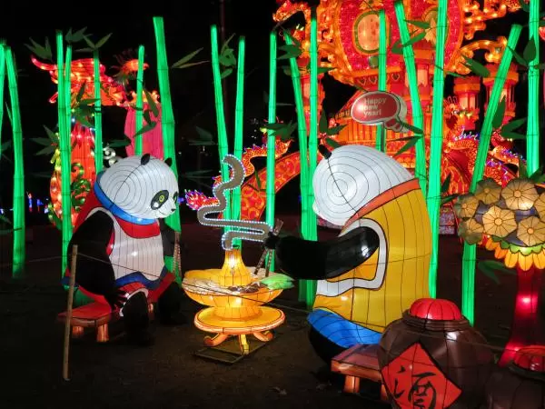 Pandas eating with chopsticks!