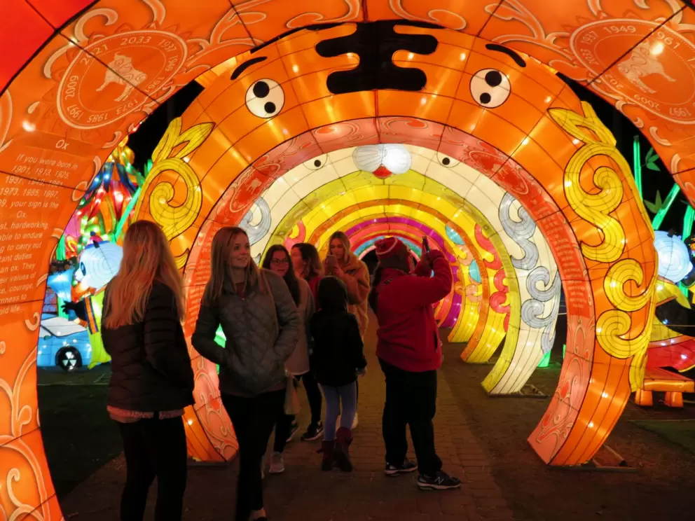 Tunnel of light, with Chinese years explained, for example Year of the Tiger.