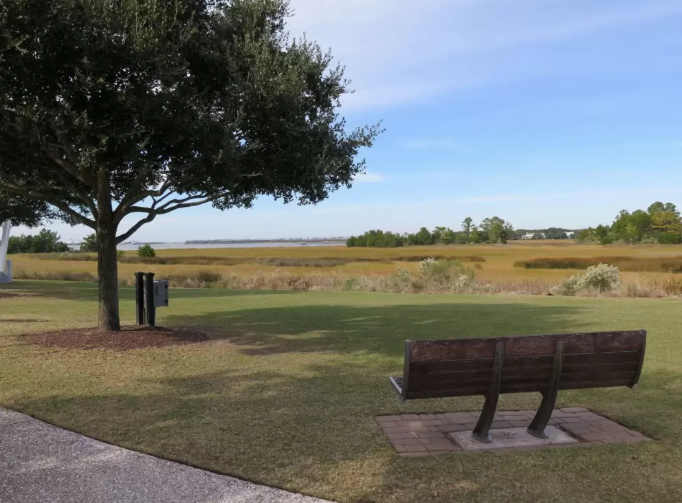 Bench with a view.