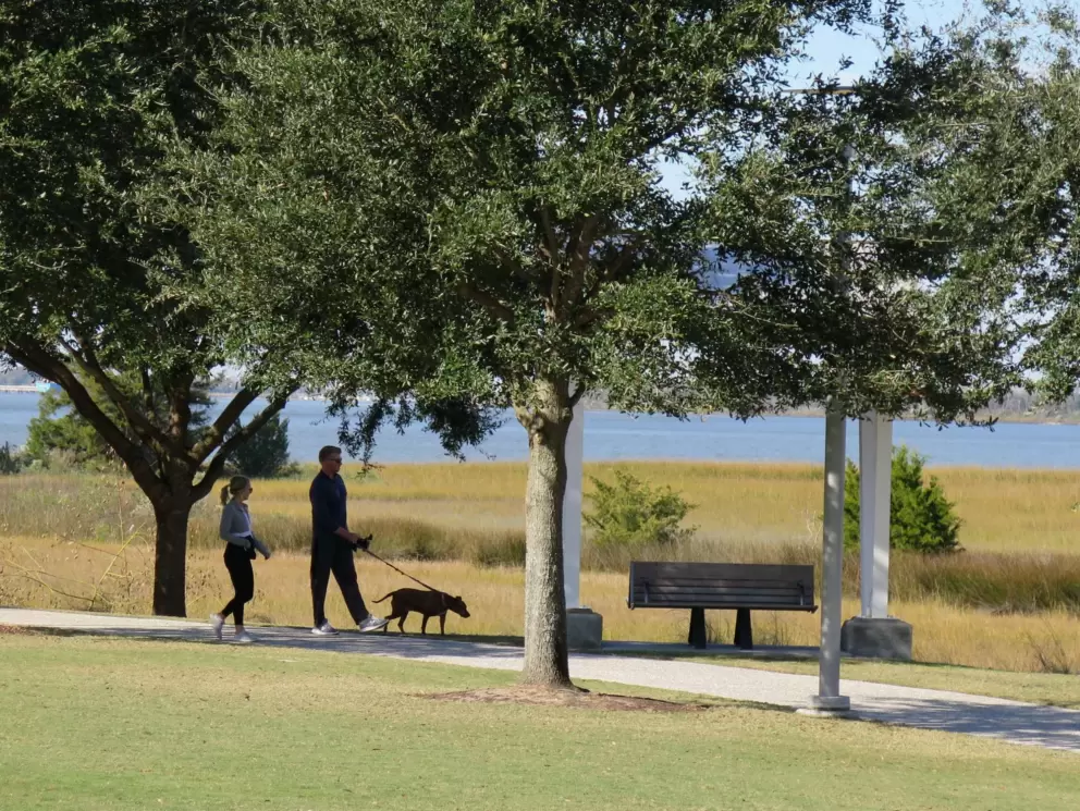 Walking their dog.