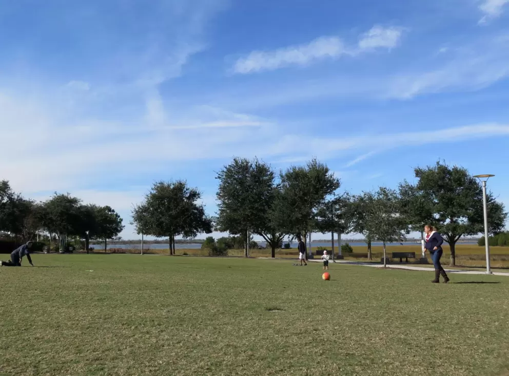 Playing ball on the huge lawn.