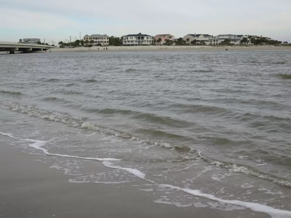 Shoreline, bridge, and houses across the inlet.