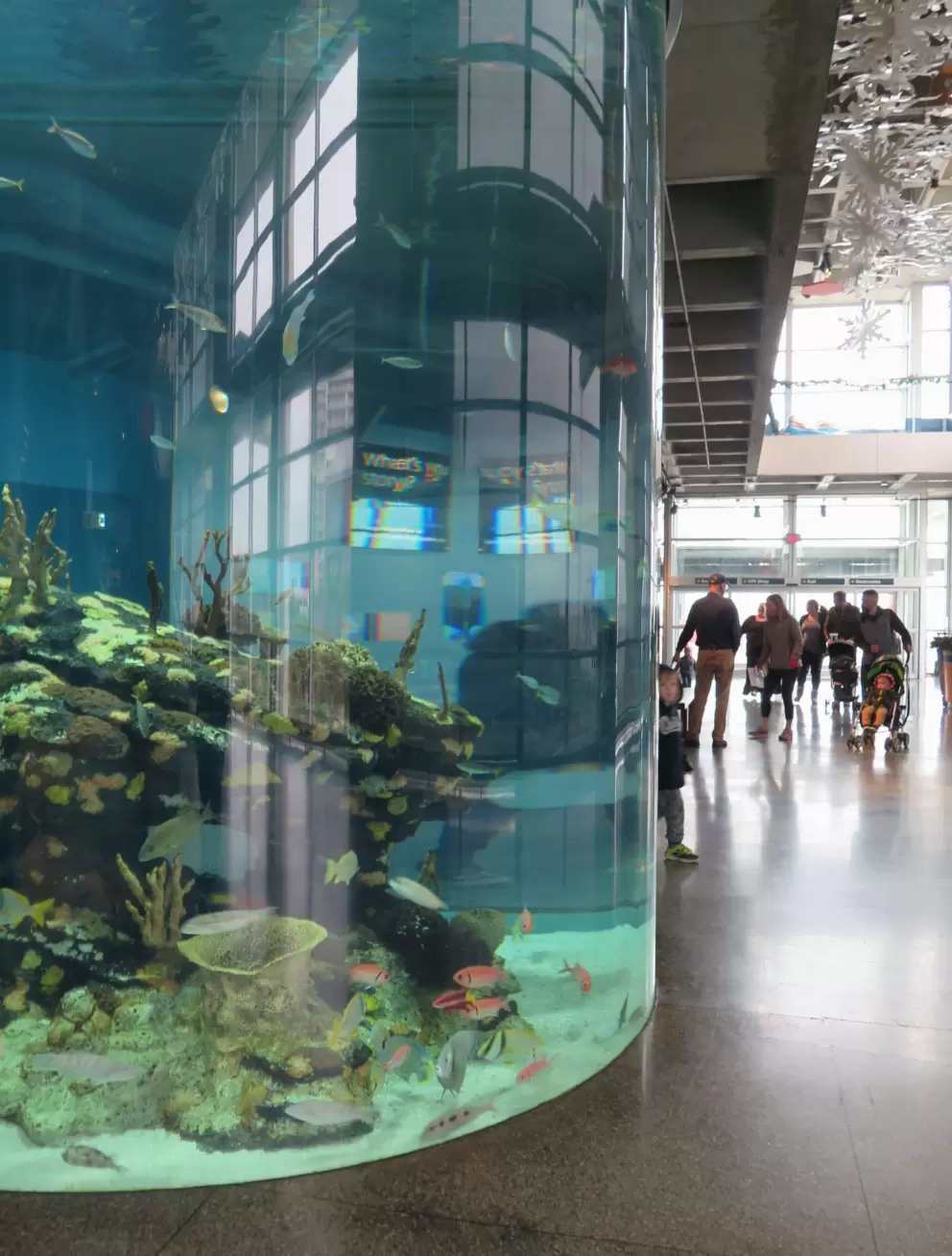 Tank by the entrance.