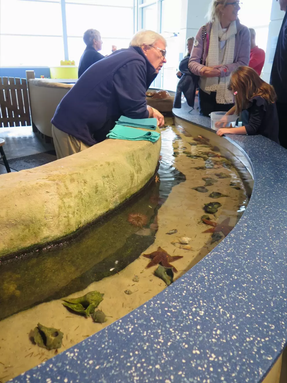 Touch tank.