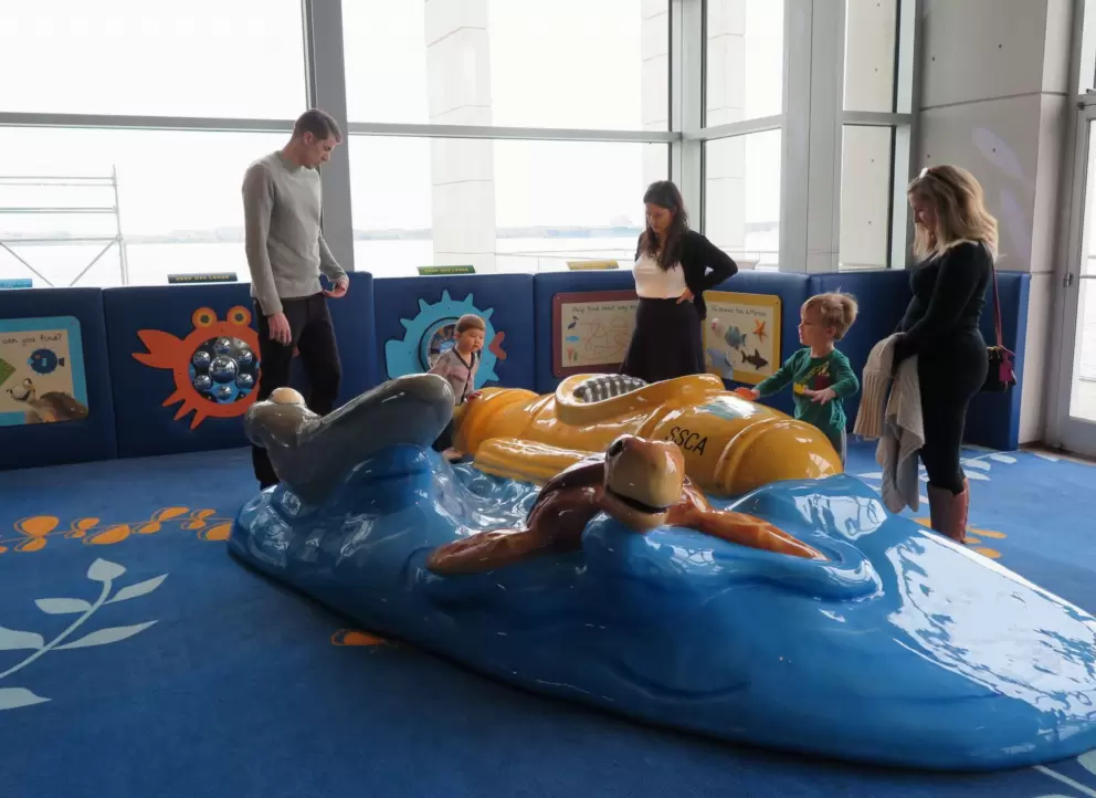 Turtle and submarine in the toddler area.