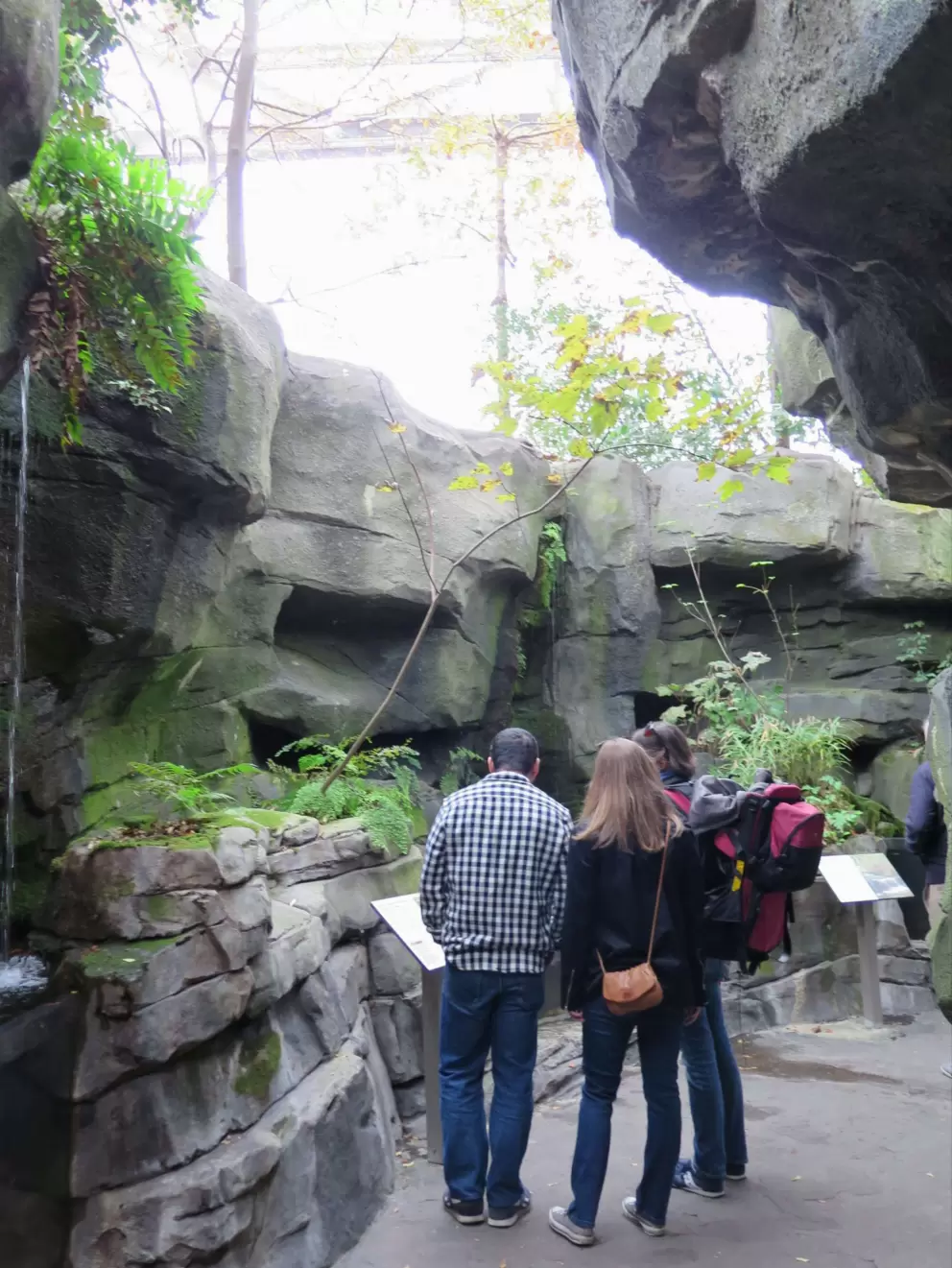 The outdoor river otter area.