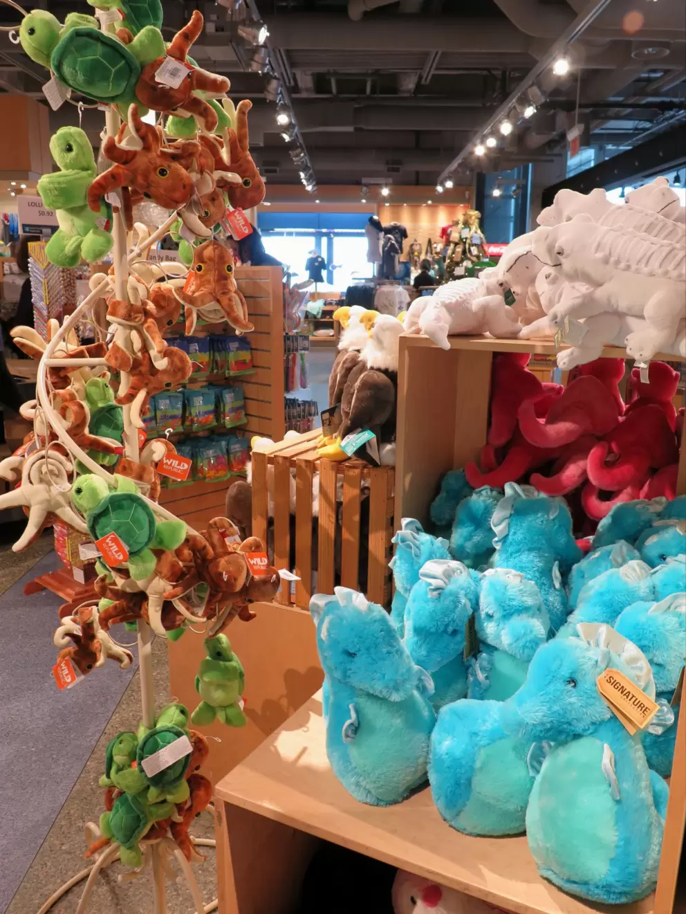 The gift shop.