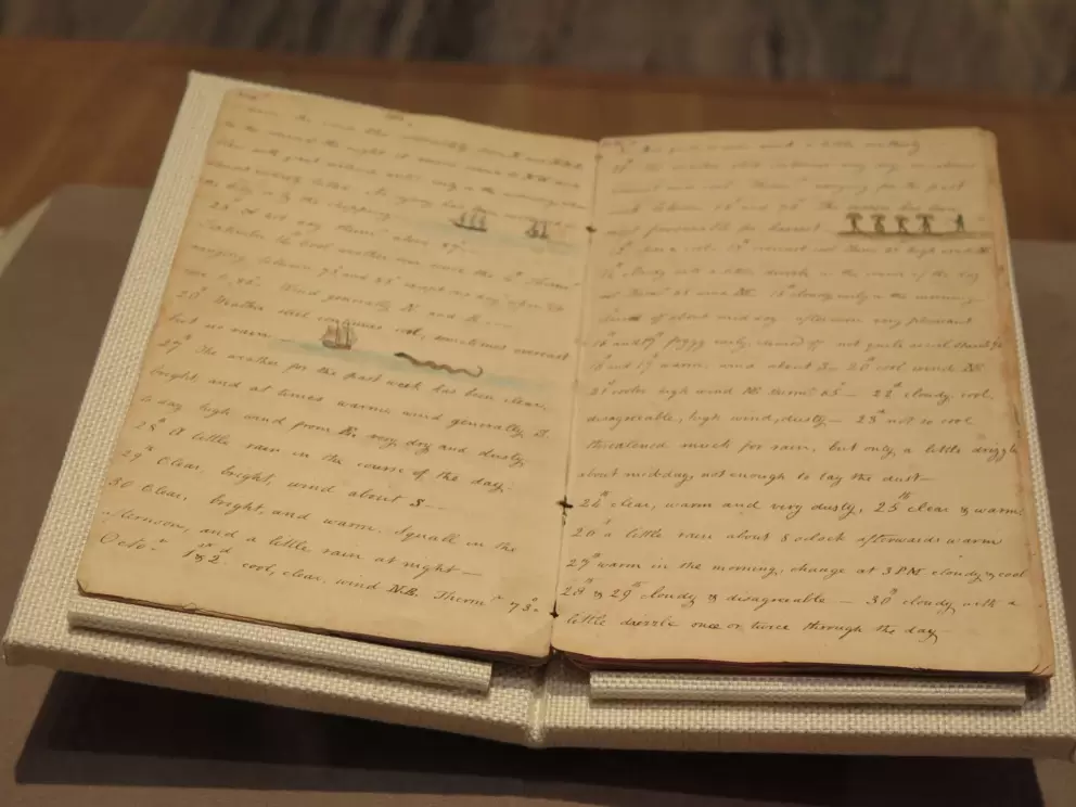 Diary of Charles Heyward, a plantation owner, 1826-1835.
