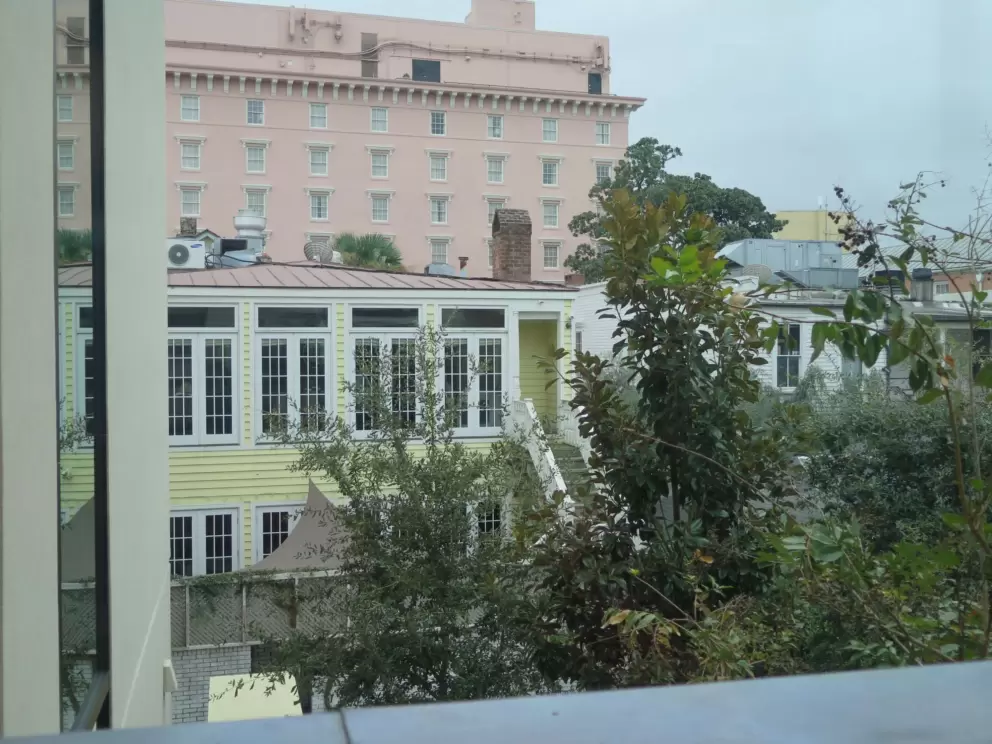 View out the window of a garden and buildings.