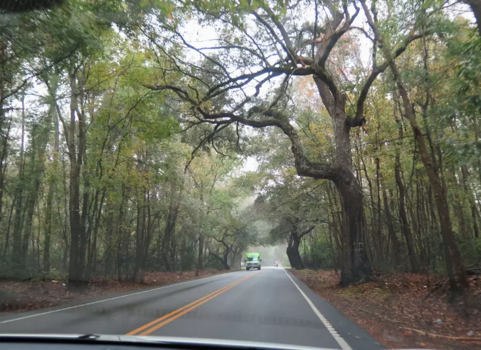 Driving on Ashley River Road.

