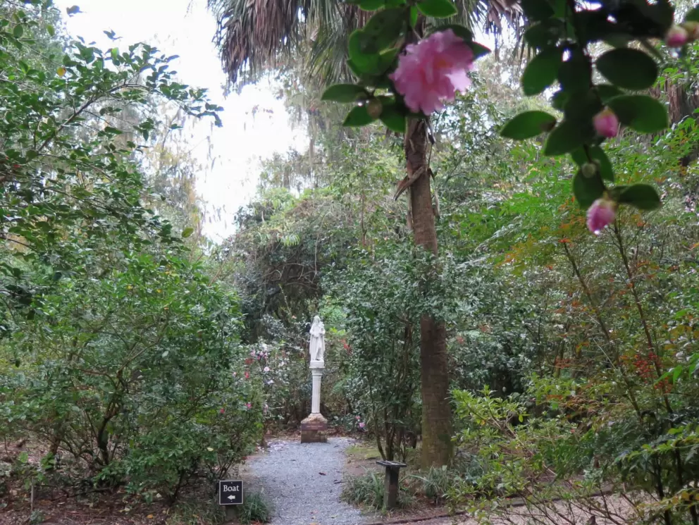 Statue and camellia flowers.