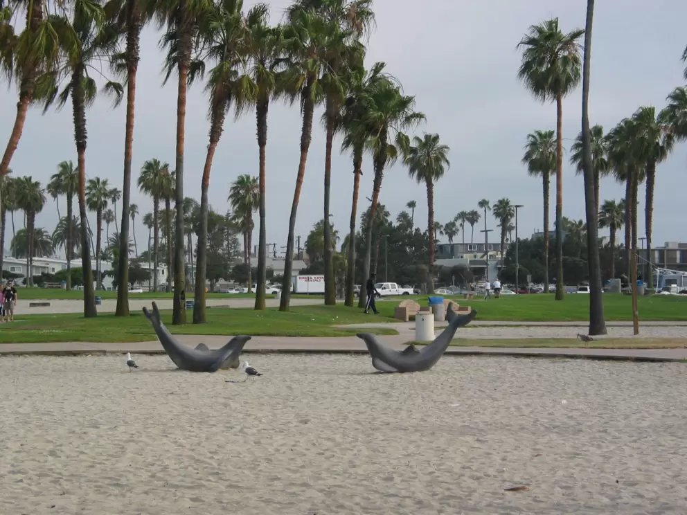 Dolphins to ride at the playground by the lagoon. 