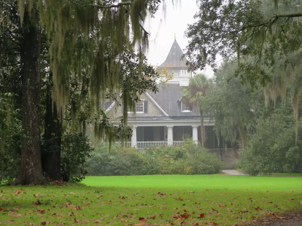 Looking toward the mansion past the Spanish moss.