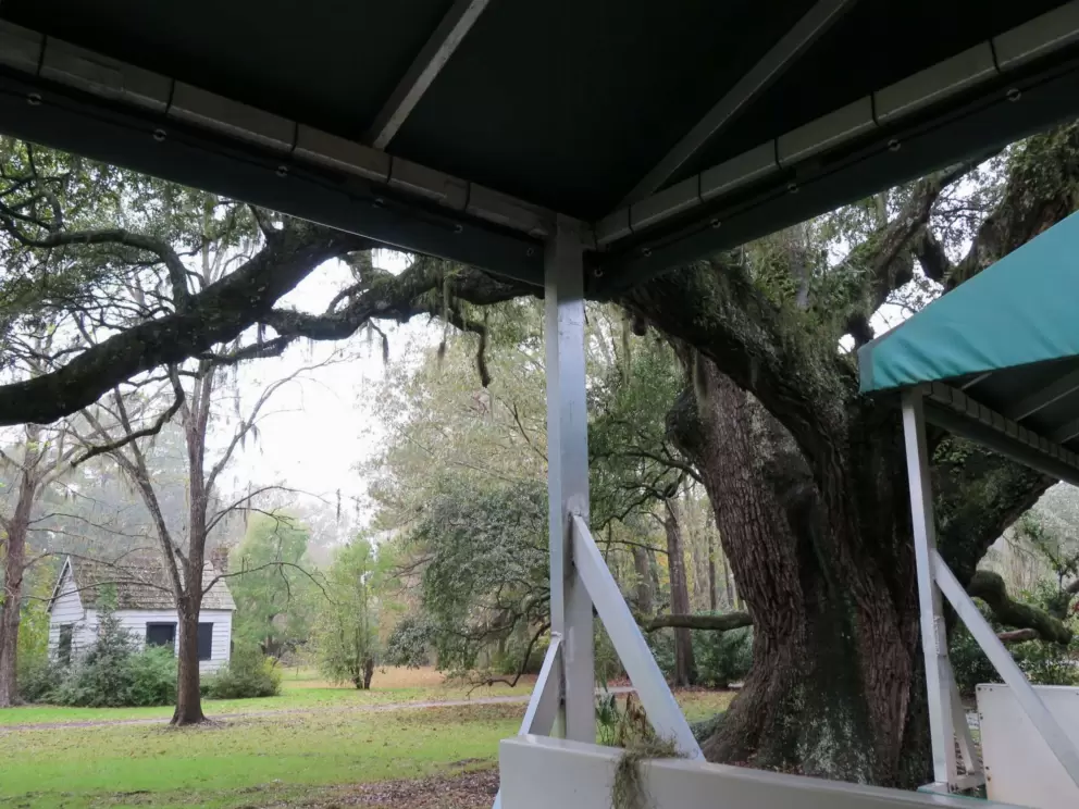 The tram tour takes you past slave houses.