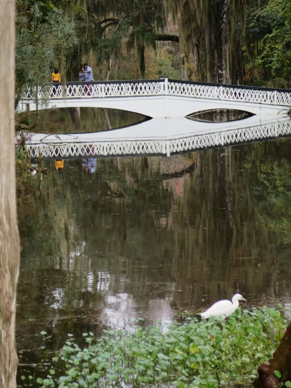 The bridge looks lovely with its reflection in the water.