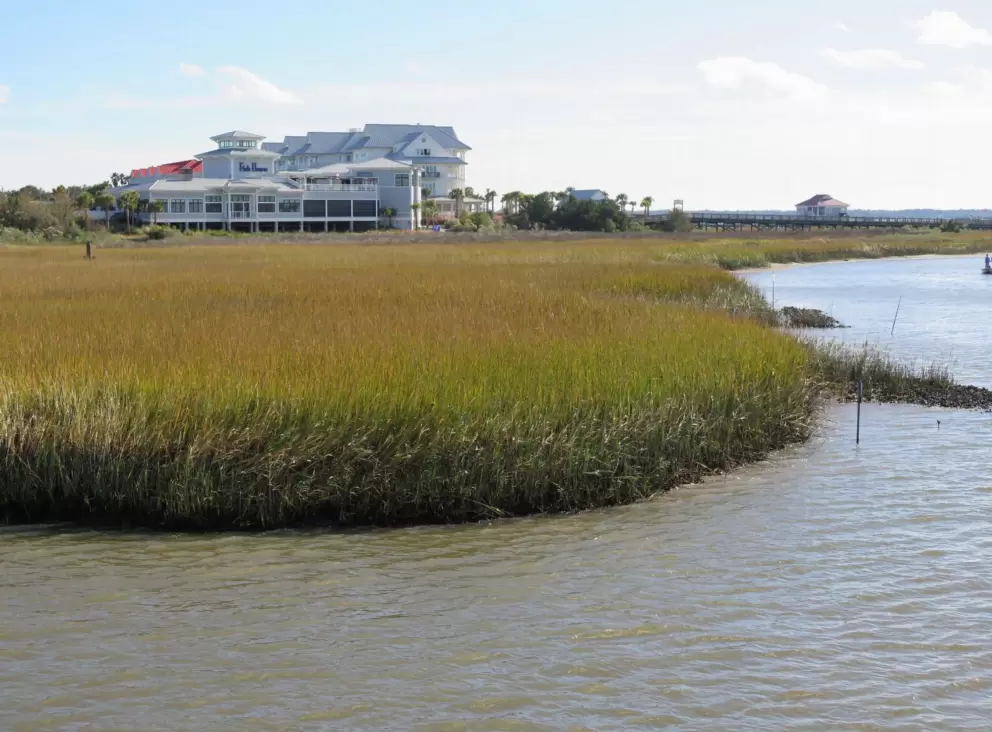 I love the salt marshes.