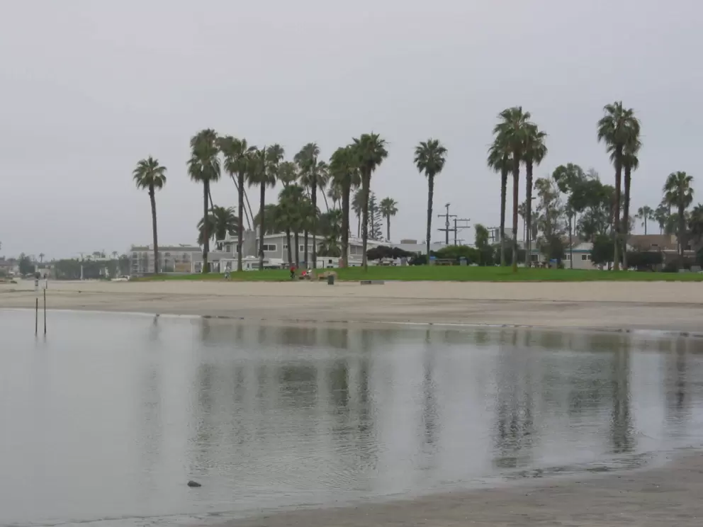 Delightful morning scene at the lagoon.