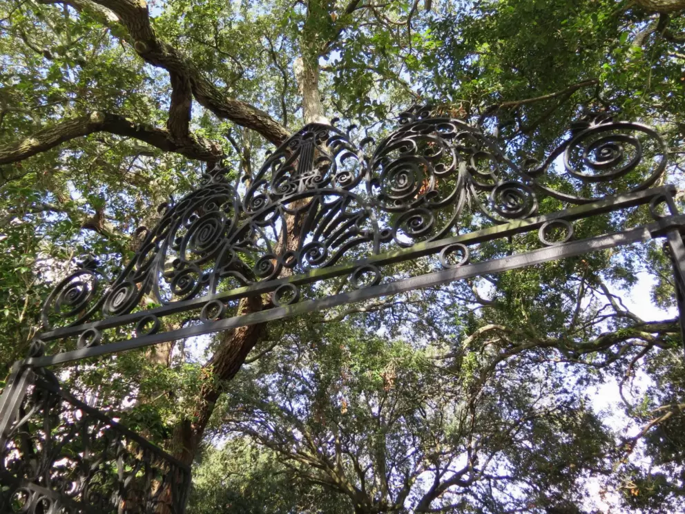 Ironwork gate and trees at Washington Square.