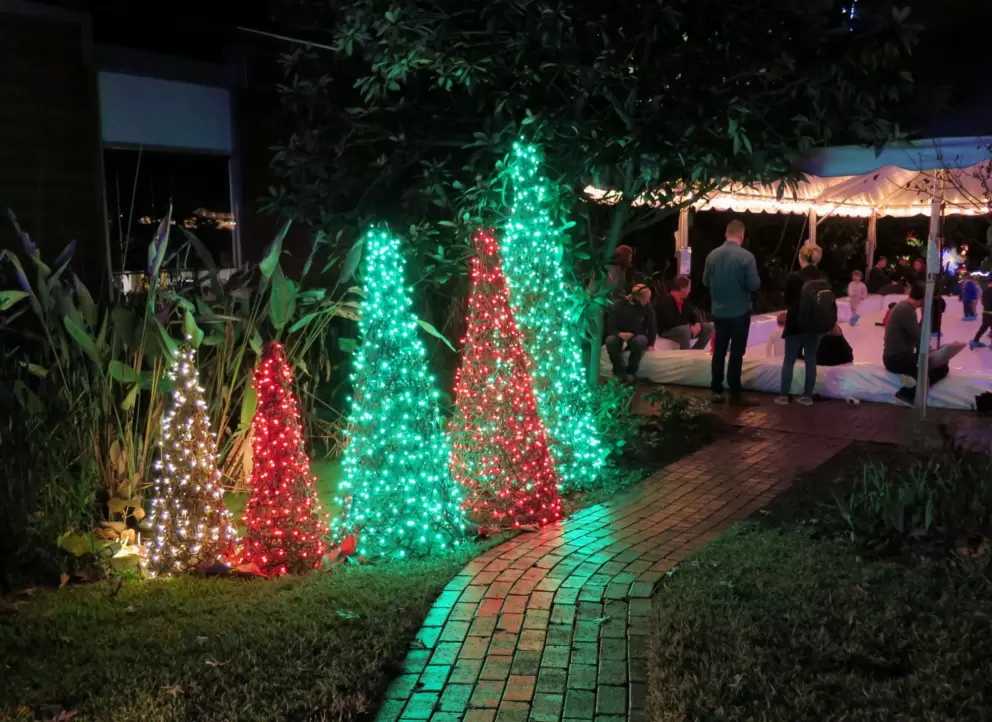 Christmas trees at the Santa Train.
