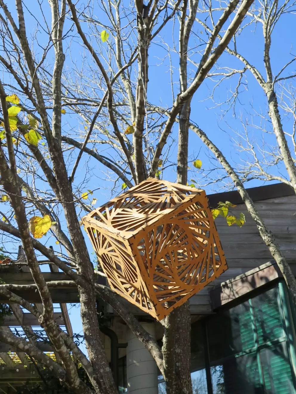 Hanging box and winter tree.