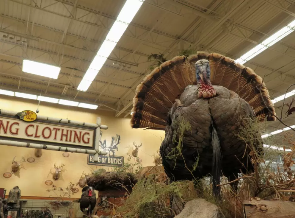 Turkey!!