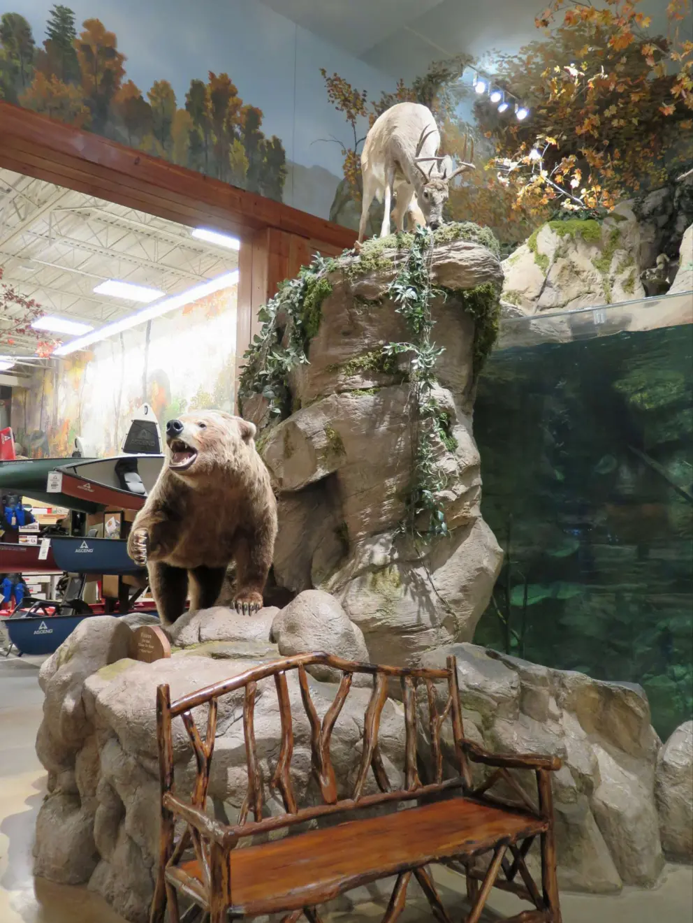 The aquarium with many layers of rock.