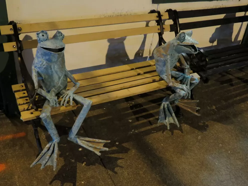 Adorable frogs outside Native Threads, on Ninth St.