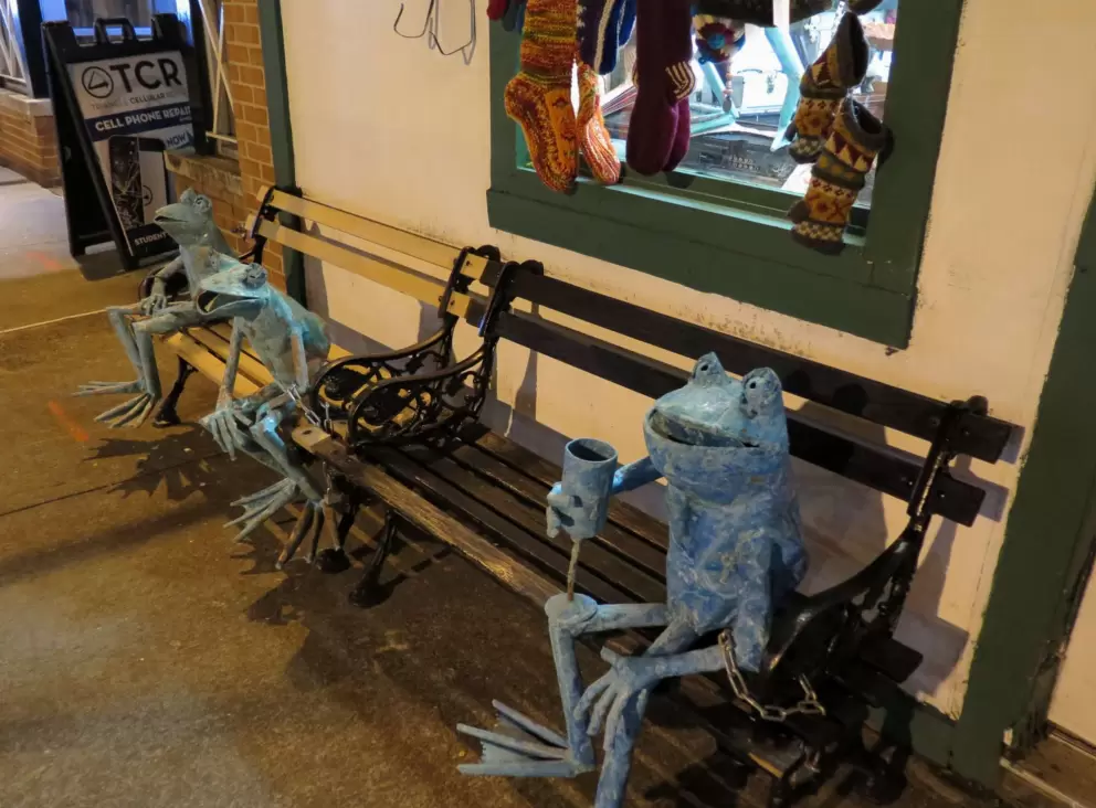 Frogs outside Native Threads.