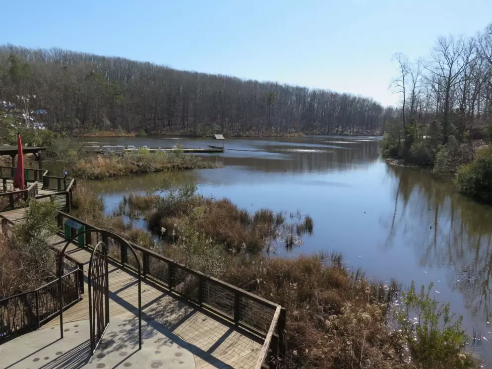 Marsh where you can rent paddleboats in the summer.
