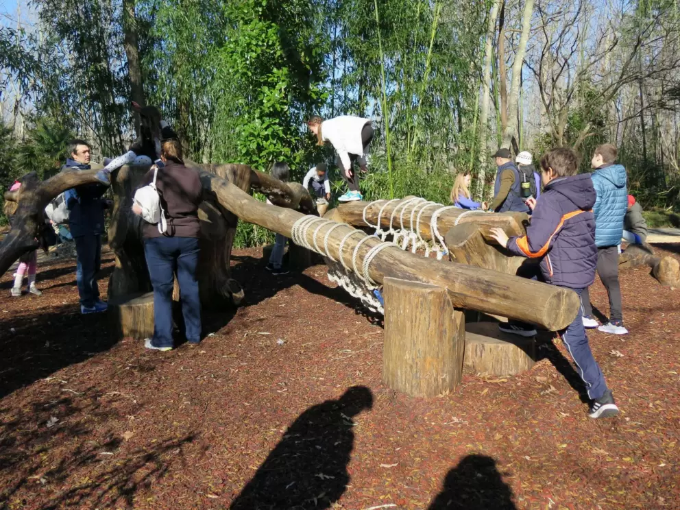 Kids playing on the climbing area by the gorillas.