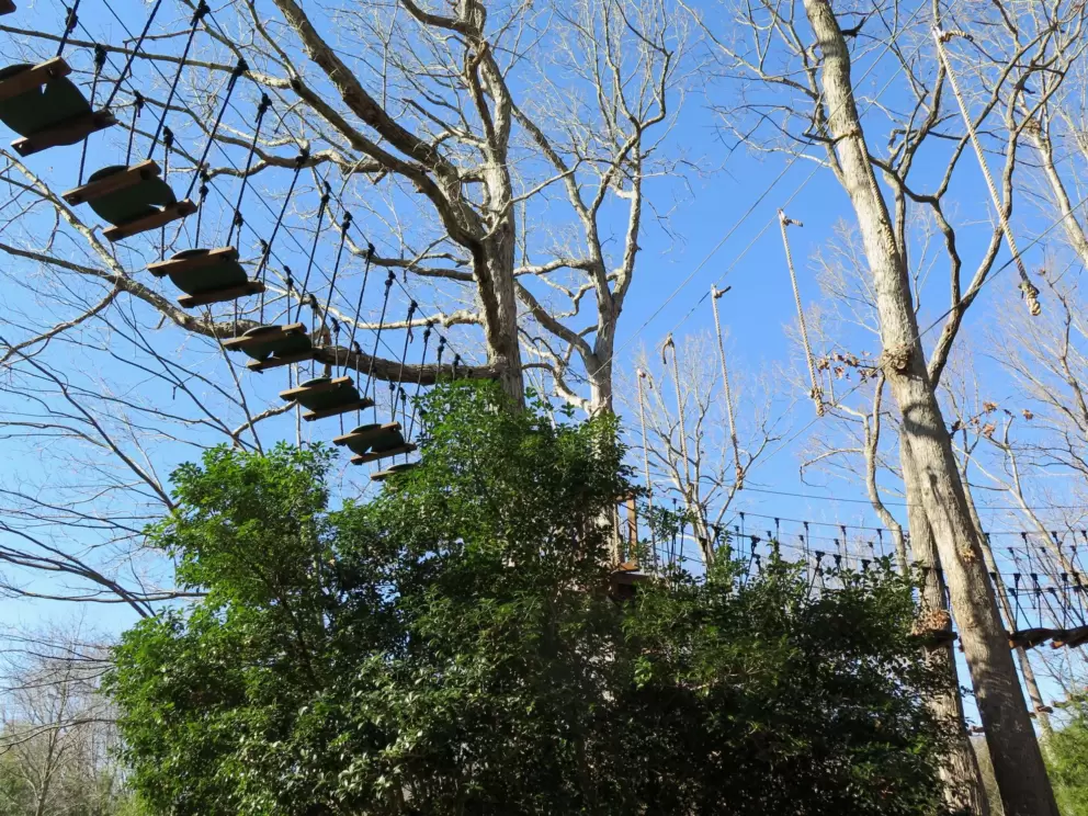 Ropes course, open in summer.