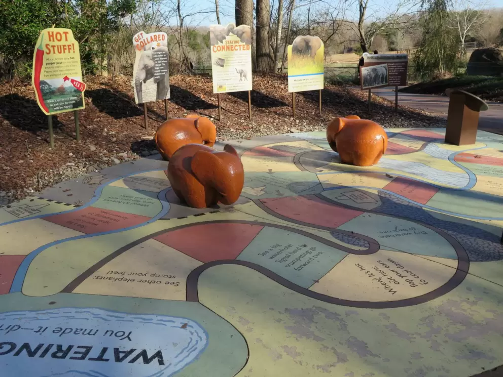 Real life board game!