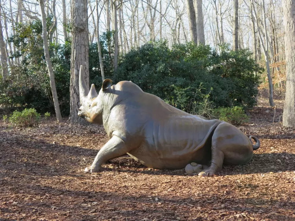 Rhino sculpture.