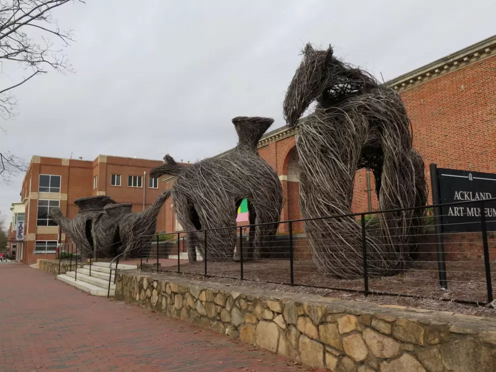 Ackland Art Museum, just off Franklin Street on Columbia Street. Too bad the building is musty.