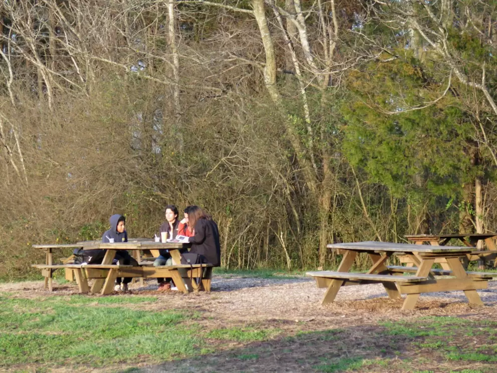 Picnic tables.
